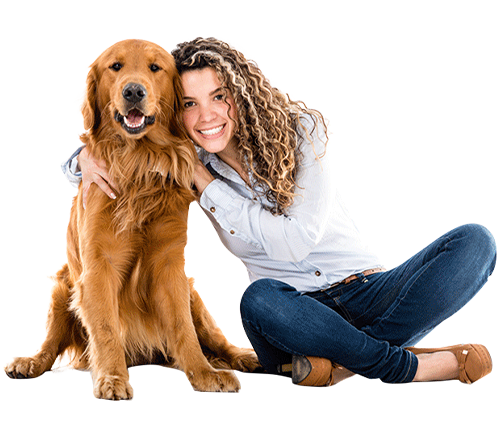 Perfect Property Banner